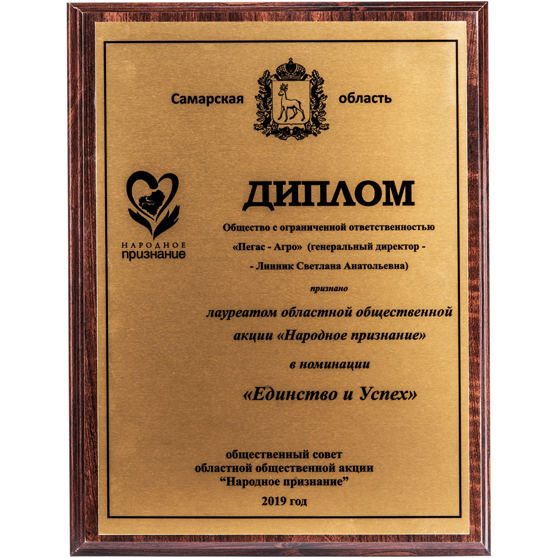 Диплом лауреата областной общественной акции «Народное признание» в номинации «Единство и успех», Самарская область
